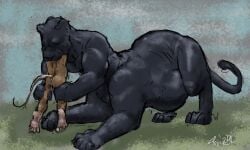 2024 anthro ass belly big_belly black_body black_fur brown_body brown_fur closed_eyes colored duo feet felid forced fur grass green_grass head_first hi_res jeri_kleinlowe larger_pred male male/male male_pred male_prey mammal mouse multiple_prey murid murine nude nude_male nude_pred nude_prey oral_vore outside pantherine partially_inside plant rodent signature size_difference sky stomach_bulge tail taur text unwilling_prey vore white_text willing_pred