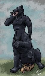 2024 absurd_res anthro belly big_belly black_body black_fur blonde_hair bodily_fluids brown_body brown_fur closed_eyes colored duo felid fur grass green_grass hair hi_res jeri_kleinlowe larger_pred looking_at_belly male male/male mammal mouse multiple_prey murid murine nervous outside pantherine pinned_by_belly plant rodent saliva signature sitting size_difference sky stomach_bulge taur text tongue vore white_text