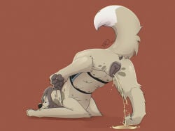 4:3 absurd_res anatomically_correct anatomically_correct_genitalia anatomically_correct_vulva anus bird_dog bodily_fluids canid canine canis domestic_dog female feral genital_fluids genitals golden_retriever hi_res hunting_dog mammal nikki_(therazzdazzler11) paws retriever service_animal service_vest solo therazzdazzler11 trans_(lore) trans_woman_(lore) urine vulva watersports
