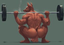 anthro anus ass backsack balls big_balls canine cigar crouching exercise humanoid_penis kaynine male male_only mammal muscular muscular_male nude penis rear_view sagging_balls smoke smoking solo uncut vein weightlifting workout