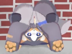 4:3 Rule 34 Image