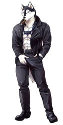 2018 5_fingers anthro black_fur blue_eyes bulge canine cigar clothed clothing front_view fur hand_in_pocket husky keigo_okamoto looking_at_viewer male male_only mammal maririn navel penis_outline smoking solo standing white_fur