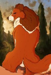 animal_genitalia animal_pussy animal_vulva blush blush_lines bodily_fluids canid canine canine_genitalia canine_pussy canine_vulva canis cheek_tuft collie domestic_dog duo facial_tuft female feral feral_penetrated first_person_view floppy_ears fluffy forest forest_background furry genital_fluids genitals herding_dog hi_res human human_on_feral human_penetrating human_penetrating_feral interspecies lassie_(film) looking_at_viewer looking_back looking_pleasured male male/female mammal mountain nature nature_background neck_tuft on_bottom on_top outside outside_sex parooty pastoral_dog penetration plant public public_sex pussy reverse_cowgirl_position rough_collie sex sheepdog smile sunset trail tree tuft vaginal_penetration zoophilia