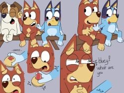 bluey heeler from bluey (series)