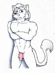 facial_hair feline hokshi lion male male_only mammal moustache nude penis solo white_lion