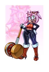 amy rose from sega by palegarbo