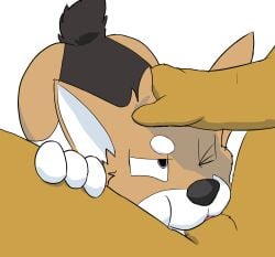 anthro ass_up bitalie black_body black_fur brown_body brown_fur butt butt_from_the_front canid canine canis domestic_dog duo fellatio fido_(housepets!) fur genitals hand_on_leg hand_on_thigh herding_dog hi_res holding_head housepets! hybrid_genitalia hybrid_penis king_(housepets!) male male/male mammal one_eye_closed oral pastoral_dog penile penis sex short_tail simple_background size_difference smaller_male tail tan_body tan_fur welsh_corgi white_background white_body white_fur