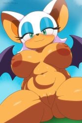 rouge the bat from sega by chunkiroll