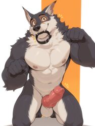 ai_generated animal_genitalia animal_penis anthro athletic balls bara big_penis black_body canid canine canine_genitalia canine_penis canis collar_in_mouth erection fangs front_view fur furry genitals good_boy handpaw happy hi_res kneeling knot looking_at_viewer male mammal muscular muscular_male navel nude orange_eyes paw_pose paws pecs penis pose simple_background solo teeth wolf