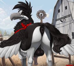 alternate_species animal_genitalia animal_penis anus ass avian backsack balls barn bedroom_eyes big_balls bird black_balls black_body black_feathers black_fur dizfoley dock_(anatomy) equid equine_genitalia equine_penis european_mythology feathered_wings feathers feral fur genitals greek_mythology hi_res hippogriff kerchief kerchief_only long_beak looking_at_viewer looking_back looking_back_at_viewer male mammal medial_ring mostly_nude mythological_avian mythological_creature mythology narrowed_eyes neckerchief neckerchief_only neckwear outside penis presenting presenting_hindquarters puffy_anus seductive solo tail tail_aside truegrave9 wings