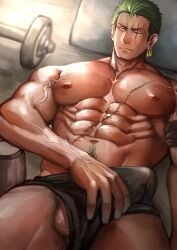 roronoa zoro from one piece by meiji nsfw
