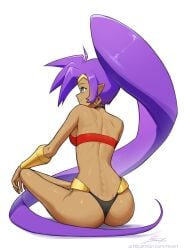 2024 ass blue_eyes breasts brown_body brown_skin earrings female female_focus female_only hoop_earrings long_hair looking_away purple_hair revenantart shantae shantae_(character) sitting sitting_down tied_hair wayforward white_background