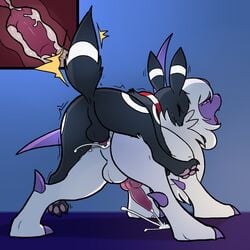 2boys 3_toes absol all_fours alternate_color anal anal_knotting anal_penetration anal_sex animal_genitalia anus ass big_ass big_testicles black_fur blitzdrachin blue_background canid canine canine_penis claws clenched_teeth closed_eyes cum cum_in_ass cum_inside cum_while_penetrated cumshot eeveelution ejaculation erection fangs feet feral from_behind furry gay horn internal interspecies knot knotting long_ears male male_only mammal nintendo nude on_top orgasm original_character pawpads paws penis pokémon_(species) pokemon pokemon_(species) pokemon_gsc pokemon_rse purple_eyes purple_fur raised_tail scarf sex size_difference sky_(umbry_sky) small_dom_big_sub spread_legs teeth testicles thick_thighs tongue trembling umbreon video_games white_fur x-ray yaoi