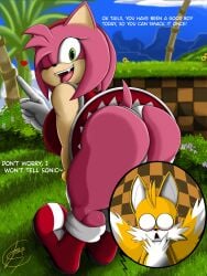 1boy 1boy1girl 1girls absurd_res age_difference amy_rose anthro ass ass_focus big_breasts big_butt canid canine dialogue duo english_text eulipotyphlan female fox foxium foxiumart heart_symbol hedgehog hi_res imminent_sex male male/female mammal older_female sega sonic_(series) sonic_the_hedgehog_(series) tails tails_the_fox text thick_thighs younger_male