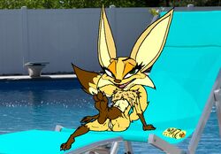 anthro canine female fox furry mammal nude oscar's_oasis photo_background pool_(disambiguation) popy pussy solo vinny_van_yiffy