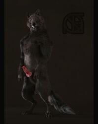 3d animal_genitalia animal_penis anthro balls black_fur black_nose canid canine canine_penis canis claws cosmiclife erection feet feral fur hi_res knot looking_at_viewer male male_only mammal paws penis pinup pose realistic romeo_(cosmiclife) semi-anthro sheath solo standing whiskers wolf yellow_eyes