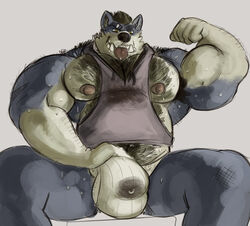 anthro armpit_hair balls barazoku belly biceps body_hair bulge canine chest_hair clothed clothing digital_media_(artwork) flexing fur grin hair hi_res huge_muscles looking_at_viewer male male_only mammal mane musclegut muscular muscular_male naughty_face nipples pecs penis presenting presenting_penis pubes shaded sharp_teeth shirt short_hair simple_background sitting skimpy smile solo spread_legs spreading stocky tank_top tcw_(artist) teeth tongue tongue_out underwear wolf