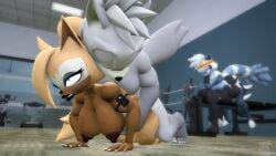 3d_(artwork) 69_position adam_(juicyducksfm) anthro black_body black_fur black_lipstick blue_body blue_fur bottomwear breasts brown_body brown_skin canid canine canis clenched_teeth closed_eyes clothed clothing digital_media_(artwork) doggy_style duo eye_roll fan_character female from_behind_position fur genitals grey_body grey_fur group gym hand_on_butt hand_on_penis hi_res hunter_(mrfrenchyjackal) idw_publishing inside jackal juicyducksfm lemur lifting_dumbbell lipstick looking_at_another looking_forward makeup male male/female mammal muscular muscular_male nude oral oral_penetration pants penetration penis primate public public_sex sega sex shirt sonic_(series) sonic_the_hedgehog_(comics) sonic_the_hedgehog_(idw) sonic_the_hedgehog_(series) source_filmmaker_(artwork) sport sportswear strepsirrhine tan_body tan_fur tangle_the_lemur teeth topwear training vaginal_penetration whisper_the_wolf white_body white_fur wolf