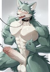 2025 abs anthro anthro_penetrated balls bara beastars biceps big_balls big_muscles big_penis blush bodily_fluids border canid canine canis chung0_0 claws collar crouching deltoids dripping drooling erection eyebrows foreskin fur genital_fluids genitals glans grey_background hi_res huge_cock humanoid_genitalia humanoid_penis kemono leash legoshi_(beastars) looking_at_viewer male male_only male_penetrated mammal muscles muscular muscular_anthro muscular_male navel nipple_fetish nipple_pinch nipple_play nude obliques pecs penetration penis pinch plug_(sex_toy) precum precum_drip saliva sex_toy simple_background solo submissive submissive_anthro submissive_male sweat teeth thick_arms thick_penis thick_thighs tongue tongue_out tuft uncircumcised unretracted_foreskin urethral urethral_penetration urethral_plug vein white_border wolf yaoi