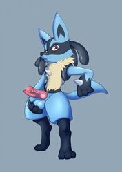 animal_genitalia animal_penis anthro ball_fondling balls canine_penis erection floorninja fondling hi_res holding_balls knot looking_at_viewer lucario male male_only nintendo nude penis pokemon pokemon_(species) solo video_games