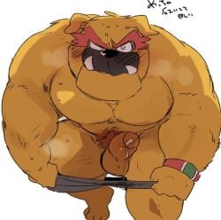 anthro anthro_male anthro_only balls bara barazoku biceps big_penis blush bodily_fluids bracelet bulldog canid canine canis clothed clothing cum cum_drip cum_in_clothing cum_in_underwear cum_on_penis deltoids domestic_dog dribble_(warioware) dripping erection eyebrows flustered flustered_male fur furry furry_male furry_only genital_fluids genitals grey_clothing grey_underwear humanoid_genitalia humanoid_penis hyaku_(artist) jewelry leaking_cum licking licking_lips male mammal mastiff molosser muscular muscular_anthro muscular_male nintendo orange_fur orange_penis partially_clothed pecs penis pubes red_eyebrows red_pubes sharp_teeth snout solo speech_bubble steam sweat teeth text thick_eyebrows thick_thighs tongue tongue_out trapezius twitter_link underwear underwear_down underwear_only undressing wario_(series) warioware wet wet_clothing wet_underwear