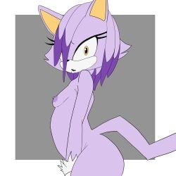 1:1 2022 absurd_res anthro ass blaze_the_cat breasts domestic_cat felid feline felis female forehead_gem gem hi_res inuyuru looking_at_viewer mammal nipples nude sega small_breasts solo sonic_(series) sonic_the_hedgehog_(series) yellow_eyes