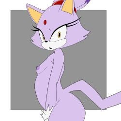 1:1 2022 absurd_res anthro ass blaze_the_cat breasts domestic_cat felid feline felis female forehead_gem gem hi_res inuyuru looking_at_viewer mammal nipples nude sega small_breasts solo sonic_(series) sonic_the_hedgehog_(series) yellow_eyes