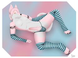 2018 4_toes anatomically_correct animal_genitalia animal_penis arm_warmers armwear balls blue_eyes canine canine canine_penis claws clothed clothing digital_media_(artwork) digitigrade erection fur heterochromia husky knot legwear looking_at_viewer male mammal panties pawpads penis pink_fur selixjackal sheath simple_background skimpy socks solo stockings thigh_highs toes underwear white_fur yellow_eyes