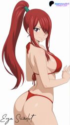 erza scarlet from fairy tail by manzuuart