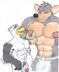 anthro avian ayden_(brogulls) azul_(artist) balls big_nipples bird duo jim_rat male male_lactation mammal muscular nipples penis rat rodent seagull yaoi