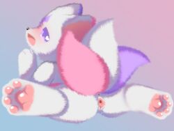 domestic_cat felid feline felis female genitals hi_res incontinence mammal paws purple_eyes pussy rear_view shiningcanc solo tail vaginal_penetration white_body