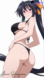 akeno himejima from high school dxd by manzuuart