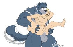 abs anal anal_penetration anal_sex anthro anthro_on_human anthro_on_male anthro_penetrating anthro_penetrating_human anus ass athletic balls barazoku biceps big_muscles big_penis blonde_hair blue_fur canine circumcised claws closed_eyes duo erection facial_hair flat_colors fur gay goatee hair hi_res human human_on_anthro humanoid_penis interspecies itsdhani light_skin male male_on_anthro male_only mammal muscular muscular_male nipples nude pecs penetration penile_penetration penis quads raised_leg raised_tail reverse_suspended_congress sex short_hair simple_background size_difference spread_legs spreading standing stocky teeth triceps wolf yaoi