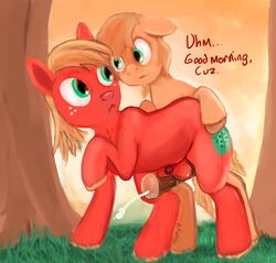 2014 anatomically_correct animal_genitalia animal_penis aponty balls big_macintosh_(mlp) braeburn_(mlp) cum duo earth_pony equine equine_penis erection feral flaccid friendship_is_magic from_behind_position gay hair hi_res hooves horse horsecock incest looking_back male mammal my_little_pony penis pony sex sheath yaoi