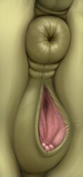 2018 anatomically_correct anatomically_correct_pussy animal_genitalia animal_pussy anus clitoris collaboration detailed_pussy digital_media_(artwork) equine equine_pussy female feral fluttershy_(mlp) friendship_is_magic genital_focus horse mammal my_little_pony puffy_anus pussy solo yoditax zippysqrl