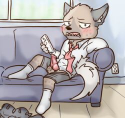 aggressive_retsuko anthro balls erection haida hyena lavilovi male male_only mammal penis sanrio smooth_fur sofa