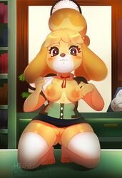 5_fingers animal_crossing animal_crossing_new_leaf animal_ears anthro anthrofied black_and_white_eyes black_nose bottomless breasts canid canine canis clothed clothing eyelashes feet female female_focus female_only fur furry furry_only hi_res higgyy humanoid_hands inside isabelle_(animal_crossing) kneeling legwear looking_at_viewer mammal nintendo nipples no_panties no_underwear partially_clothed pussy shih_tzu shortstack smile solo solo_female solo_focus thick_thighs thigh_highs toeless_legwear topwear vagina video_games wide_hips