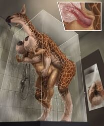 2018 anal anal_sex anthro anus ass backpack backpussy balls big_balls big_breasts big_penis breasts cum cum_inside cumflation digital_media_(artwork) duo full-package_futanari furry futa_on_male futanari giraffe herm herm/male hermaphrodite huge_balls huge_breasts human hyper hyper_balls inflation intersex intersex/male male mammal mirror multi_genitalia nib-roc nipples nude open_mouth penetration penis pussy shower size_difference smile tongue water wet