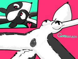 animal_genitalia badger big_eyes black_fur cub cute cute_face furry furry_female gerbillo_aea naked nipples_covered oc original_character pasties tail wet_pussy white_fur