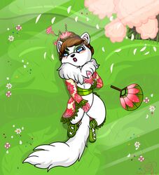 female furry mammal neopets noepets pussy solo xweetok