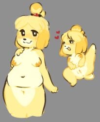 2024 animal_crossing anthro belly blonde_hair blush breasts canid canine canis cornymember digital_drawing_(artwork) digital_media_(artwork) domestic_dog female fur genitals grey_background hair heart_symbol hi_res isabelle_(animal_crossing) looking_at_viewer mammal nintendo nipples nude presenting presenting_pussy pussy shih_tzu simple_background slightly_chubby slightly_chubby_anthro slightly_chubby_female smile solo toy_dog yellow_body yellow_fur