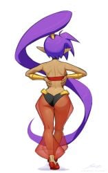 1girls arabian_clothes ass ass_focus back_view dark-skinned_female elf_ears ponytail purple_hair revenantart shantae shantae_(character) tagme transparent_clothing viewed_from_behind white_background