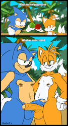 anthro aval0nx balls beach canine chaos_emerald clothing duo embrace eye_contact fox frottage fur gloves green_eyes half-closed_eyes hedgehog humanoid_penis male mammal navel nipples outside penis seaside sex smile sonic_(series) sonic_the_hedgehog standing tails tree uncut yaoi