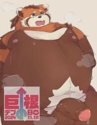 2024 ailurid anthro belly big_belly big_dick_day brown_body hi_res japanese_text kemono male male_only mammal moobs navel nipples orange_body overweight overweight_male red_panda solo suruga_(tamacolle) tamacolle text tounyuu_1113