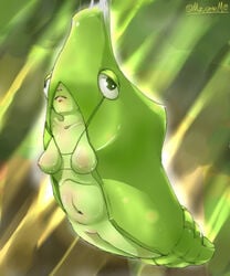 breasts color female female_only green_skin m.e._charm metapod nintendo nipples personification pokemon solo tagme