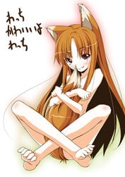 1girls animal_ears barefoot blush brown_hair cute_fang feet grin holo ko-chin long_hair nude sitting smile spice_and_wolf tail tail_hug toe-scrunch toe_scrunch toes translation_request wolf_ears