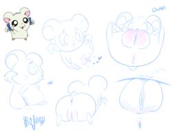 absurd_res anus bijou character_name english_text female feral grinding hamster hamtaro_(series) heart hi_res mammal masturbation ota_(artist) plump_labia pussy rodent simple_background sketch solo text white_background