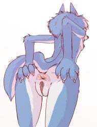 2024 4_fingers anthro anus ass big_ass_cheeks blue_body blue_fur breasts canid canine canis claws close-up female fingers fur furaffinity genitals hi_res illumination_entertainment inviting low-angle_view mammal nipple_piercing nipples nude piercing pink_anus pink_pussy porsha_crystal presenting presenting_anus presenting_pussy pussy ruth66 side_boob simple_background sing_(movie) sing_2_(movie) slim small_breasts solo spread_butt spreading thick_thighs universal_studios white_body white_fur wide_hips wolf