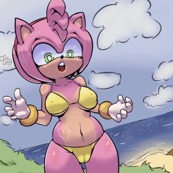 amy_rose beach bikini bra bracelet cameltoe furry gloves nipples_visible_through_clothing pussy sega shocked_expression sonic_(series) thong vixycore