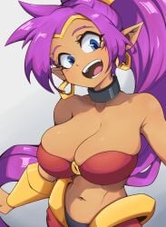 1girls absurdres arabian_clothes big_hair breasts cleavage dark-skinned_female dark_skin diloon earrings female female_only genie harem_pants high_ponytail highres hoop_earrings jewelry large_breasts legs long_hair midriff navel o-ring o-ring_top pants pointy_chin pointy_ears purple_hair shantae shantae_(character) smile solo thighs very_long_hair